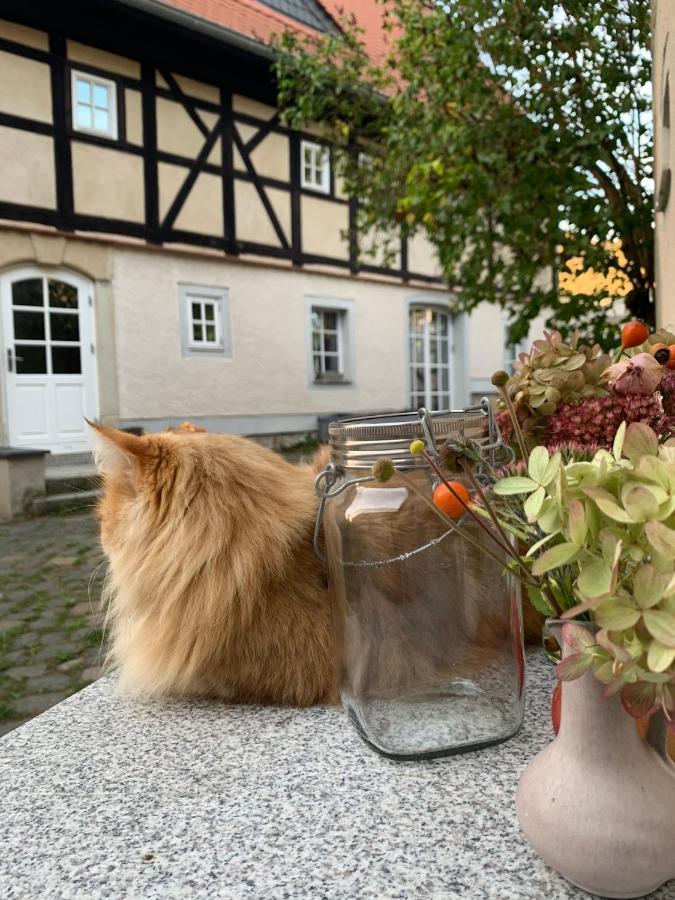 Studio Auf Denkmalgeschuetztem Dreiseithof In Hoefgen Bei Grimma Hofgen  Exteriér fotografie